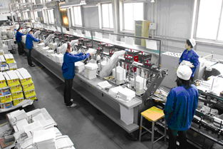 食品盒与办公设备 现代工作环境中的多功能融合