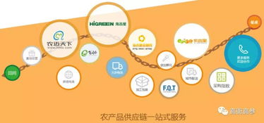 生鲜B2B旺火，为何“烧”不掉农贸市场？——网络信息技术服务下的共生逻辑